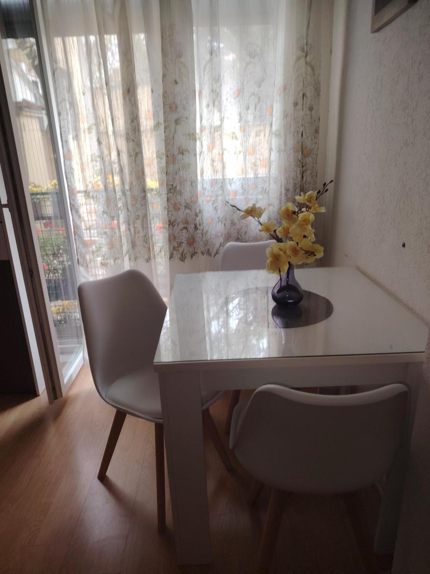 ג'אגודינה Cozy Max Studio מראה חיצוני תמונה